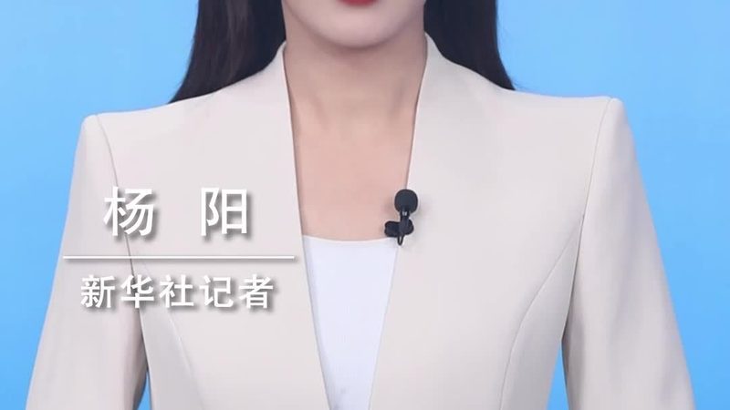 数字化解决方案与实施：本质区别与关键考量